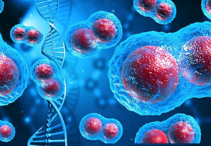 El latido del corazón, un escudo natural frente al cáncer